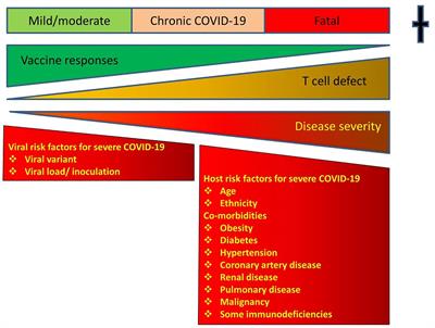 Common Variable Immunodeficiency Disorders as a Model for Assessing COVID-19 Vaccine Responses in Immunocompromised Patients